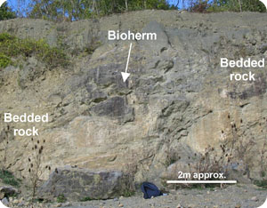 A view of the Bioherm Rock face