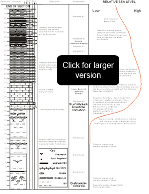 A view of the Stratigraphic Log